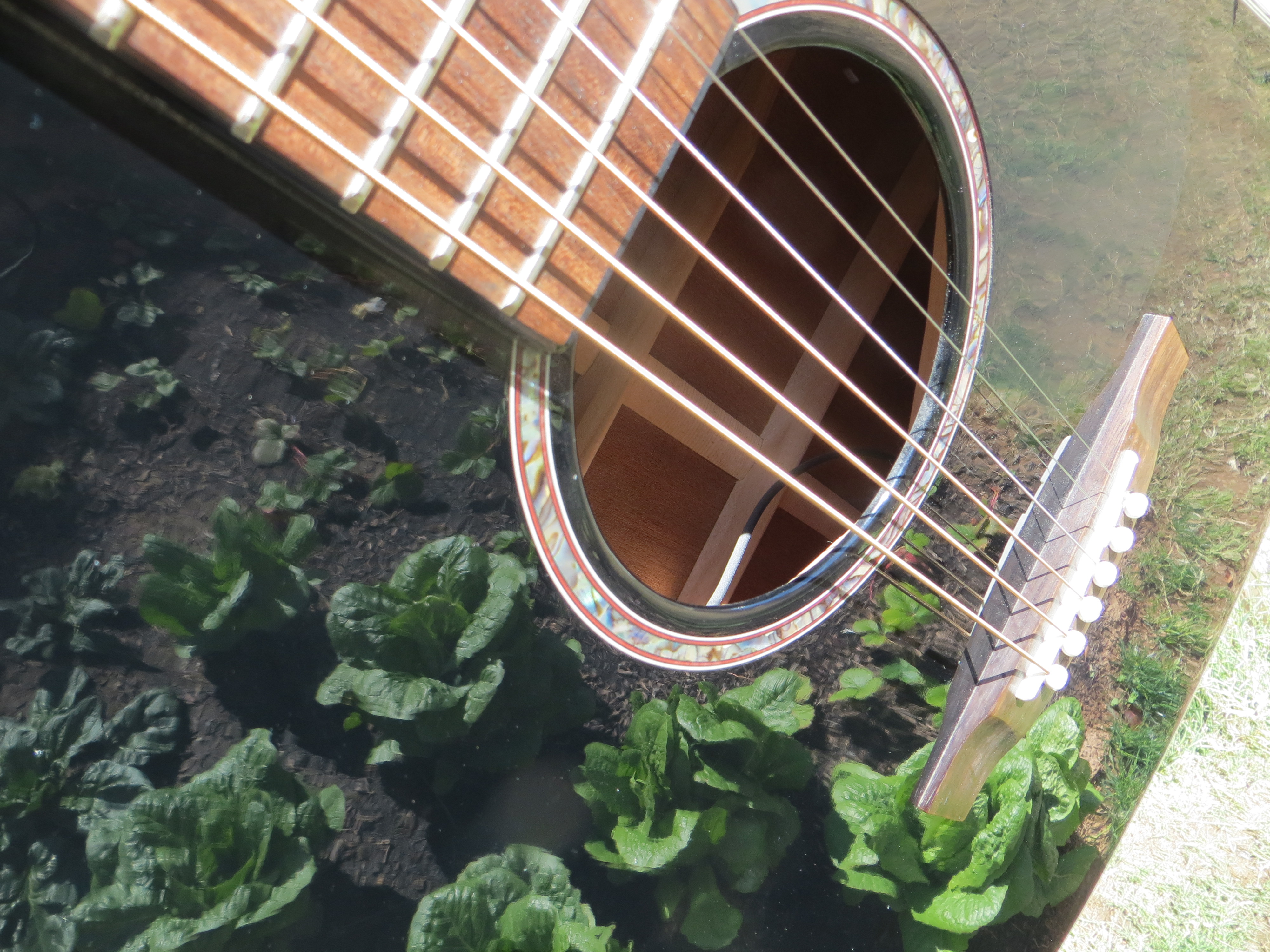 Get your guitars out and strum along! Matilda the Guitar