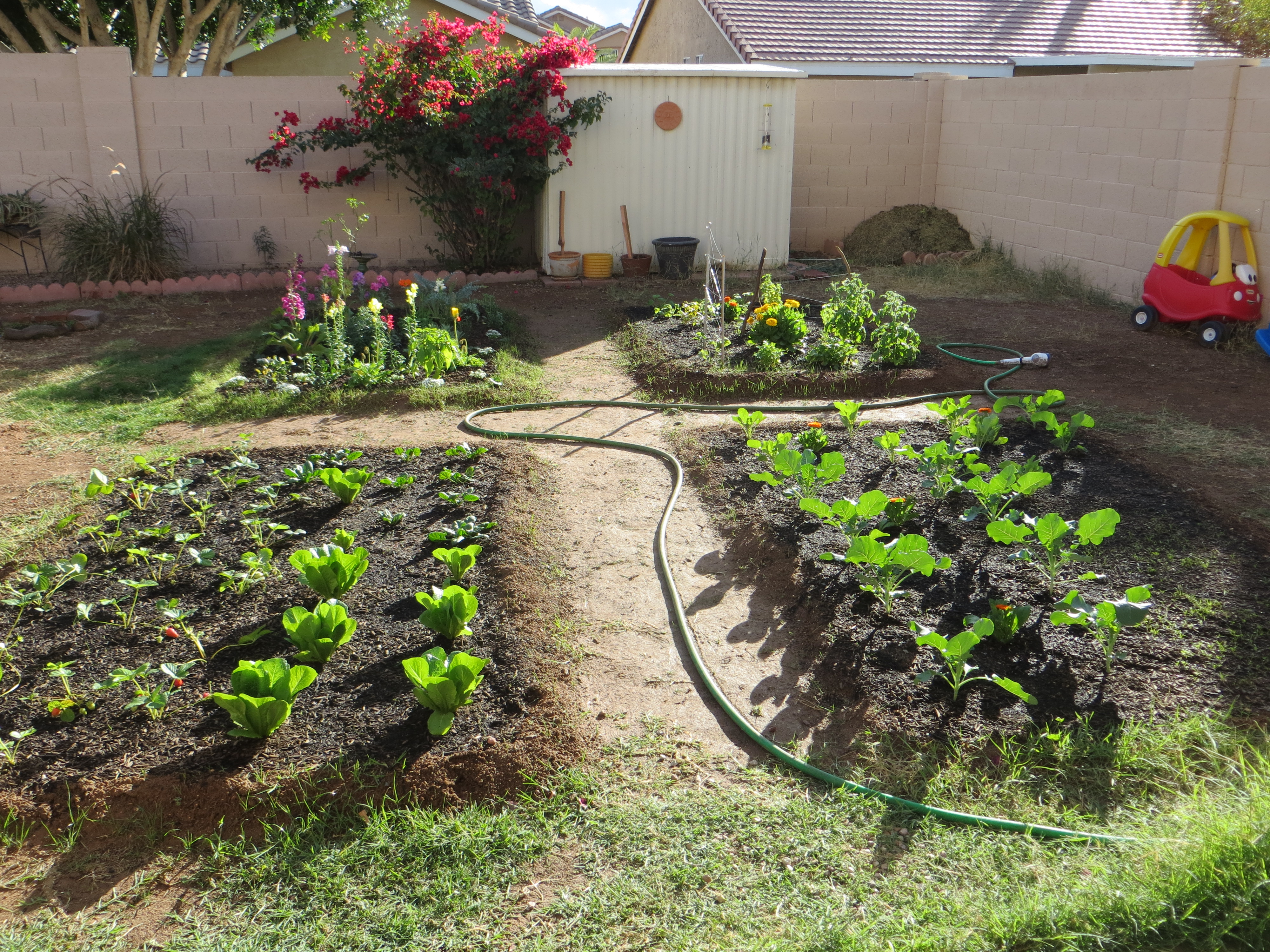 how to build a backyard garden